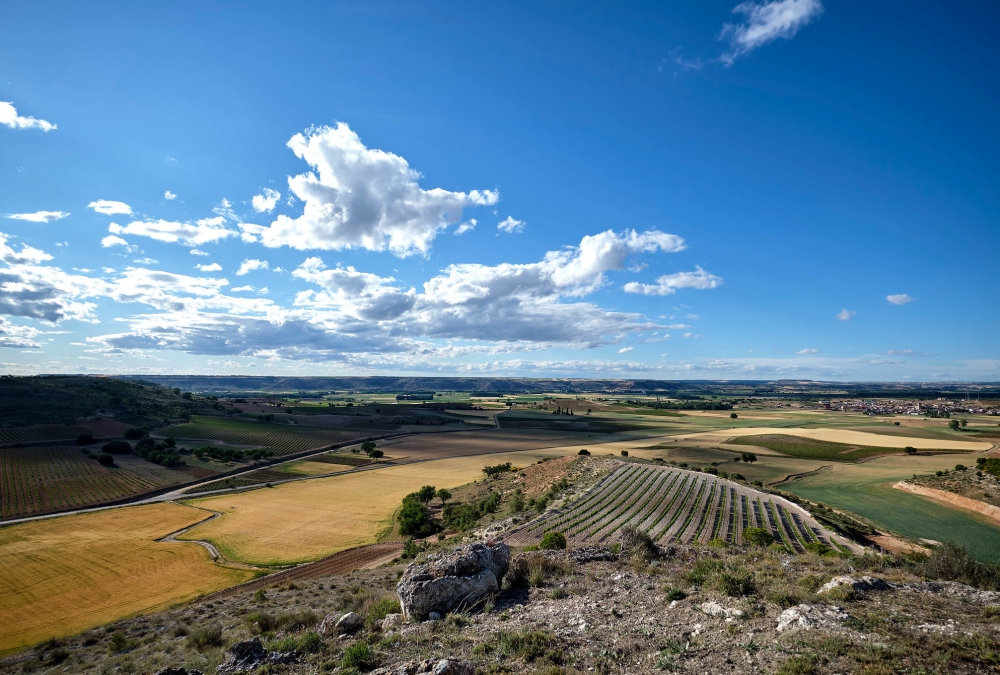 Visiting wineregion Ribera del Duero - Spain June 2019