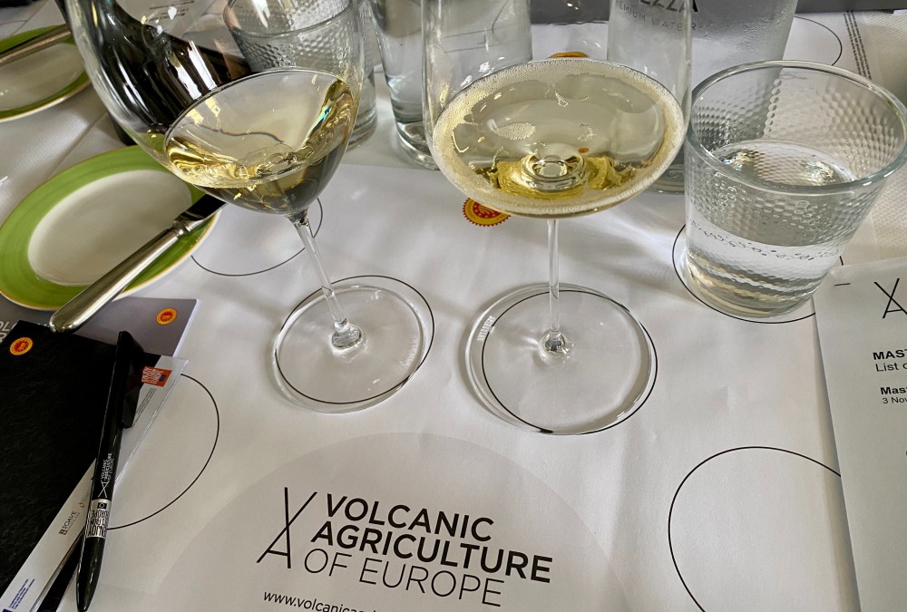 Exploring Volcanic Wines: Insights from Fred Nijhuis' Workshop